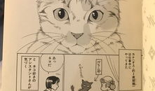 猫也漫画,萌宠日常，欢乐无限
